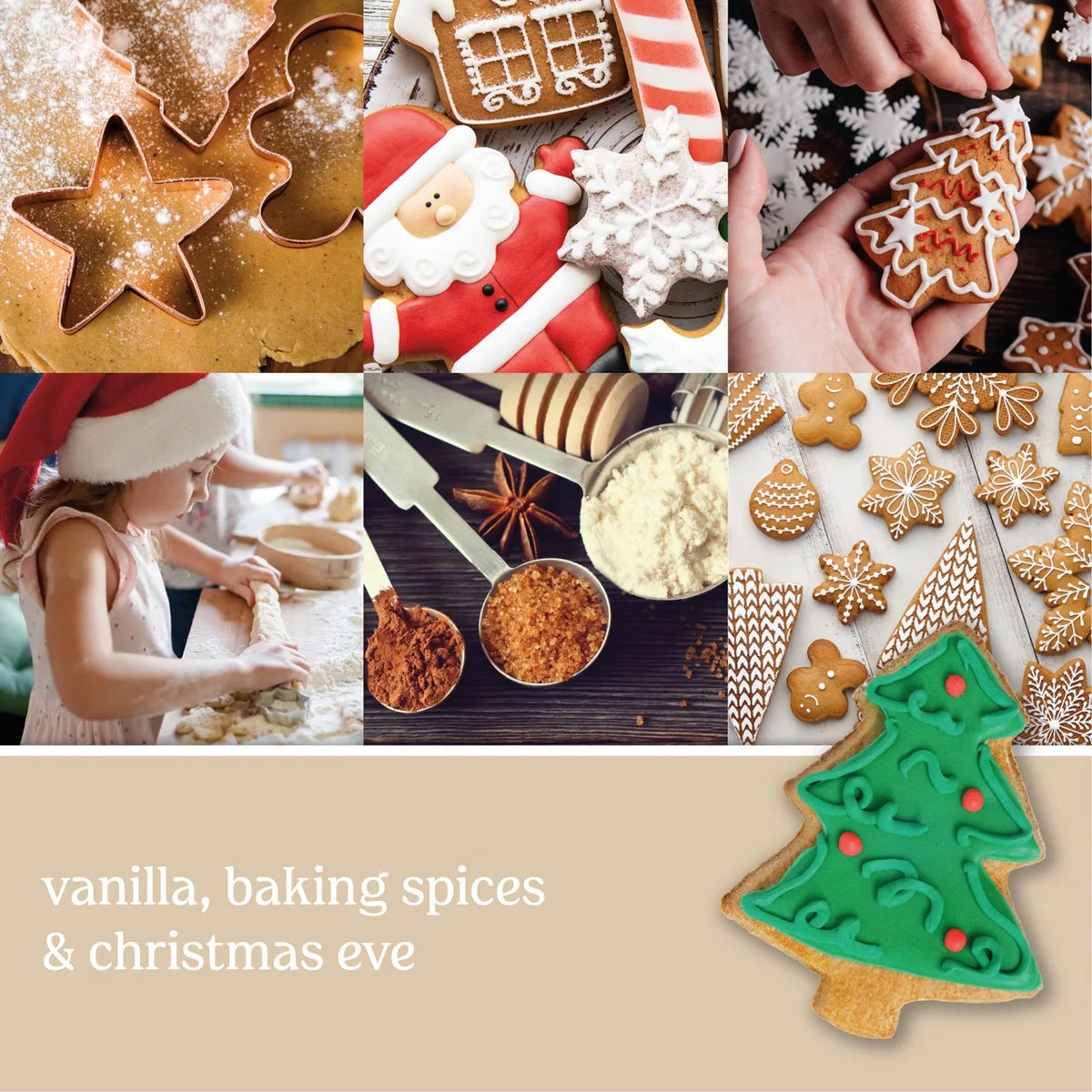 Santa's Cookies